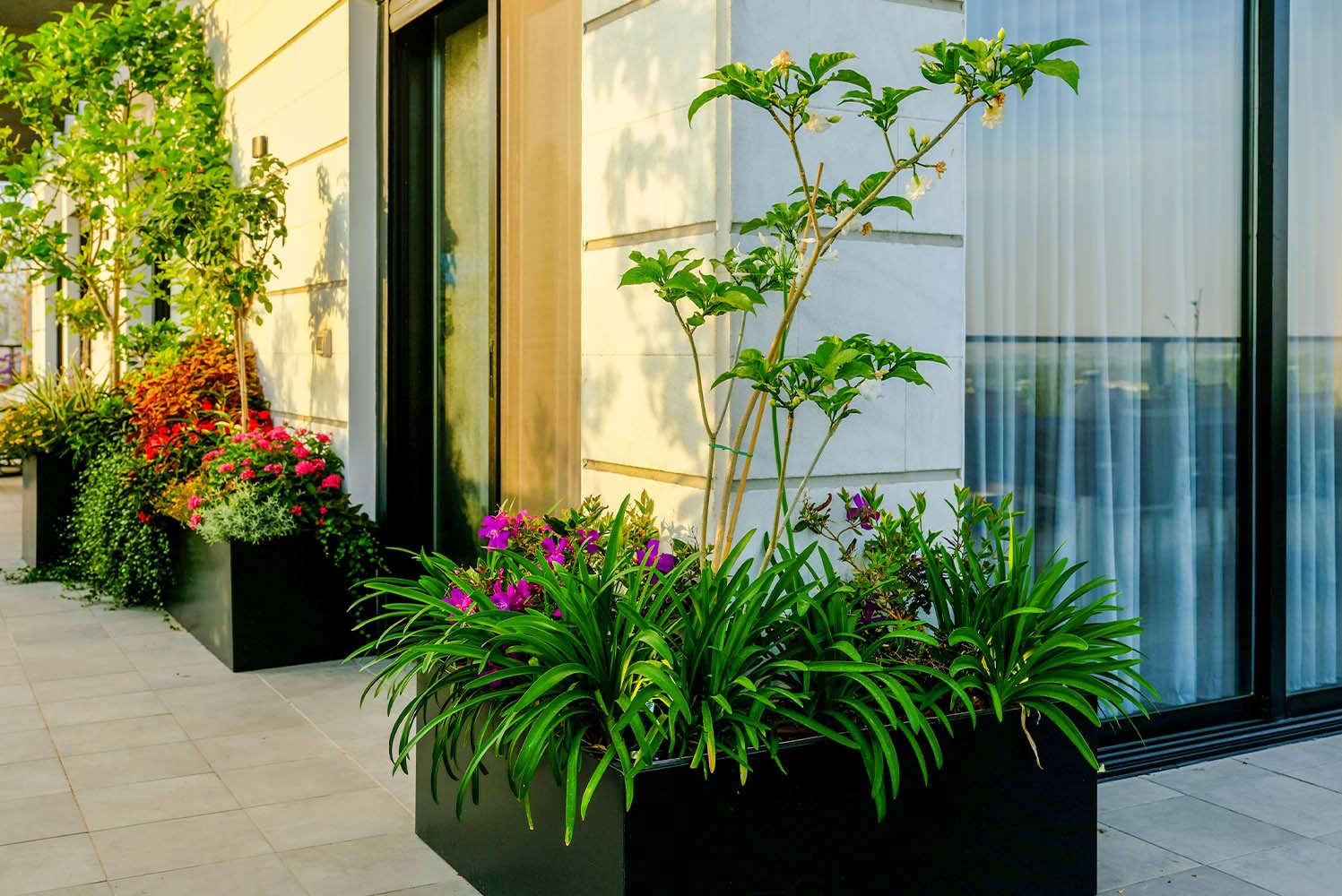 עיצוב מרפסות - סוליגו מודרני מרפסת גדולה